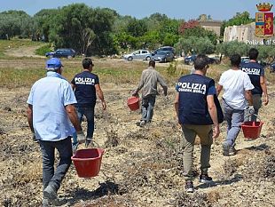 alcamo-operazione-contro-il-caporalato-la-polizia-di-stato-esegue-il-sequestro-di-imprese-agricole-e-veicoli