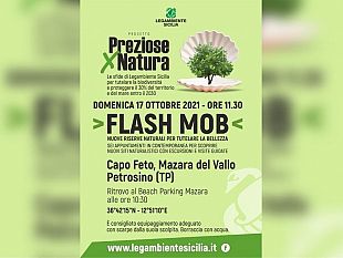 domenica-17-ottobre-in-programma-un-flash-mob-a-capo-feto