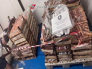 pesca-a-strascico-in-periodo-vietato-e-con-attrezzature-irregolari-sanzioni-e-sequestri-tra-marettimo-e-marsala