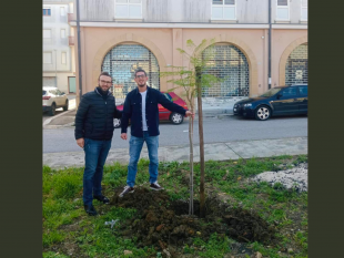 santa-ninfa-giuseppe-grimaldi-dona-e-pianta-un-albero-per-ricordare-suo-padre
