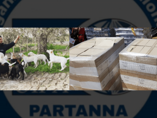 distribuzione-aiuti-alimentari-e-medicinali-in-provincia-tp