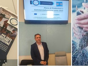 mazara-pesca-presentato-il-progetto-ppc-2025-piano-di-produzione-e-commercializzazione