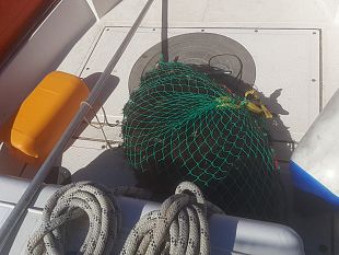 trapani/ricci-di-mare-pescati-in-zona-vietata-nellarea-marina-protetta-delle-egadi-sequestro-della-capitaneria-di-porto