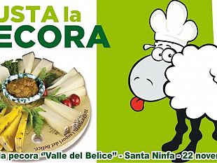 santa-ninfa-presentazione-dell-evento-gusta-la-pecora