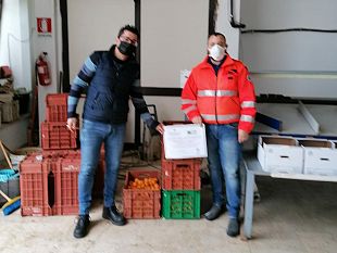 partanna-donati-70kg-di-mandarini