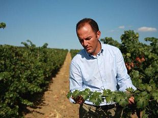 antonio-rallo-presidente-dell-unione-italiana-vini