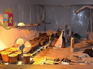 trapani-aveva-costruito-una-serra-per-la-produzione-di-marijuana-arrestato-dalla-polizia-di-stato