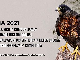 trapani/caccia-associazioni-ambientaliste-impugnano-al-tar-il-calendario-venatorio