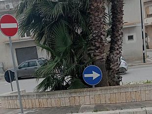 mazara-assessore-bommarito-qualcuno-ha-girato-un-cartello-nella-rotatoria