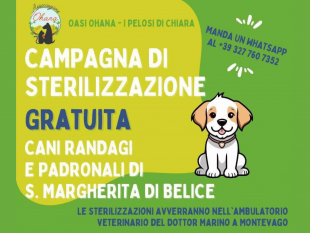 oasi-ohana-dona-5000-euro-a-santa-margherita-di-belice-per-sterilizzazioni-gratuite-e-lotta-al-randagismo