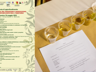menfi-il-18-maggio-la-giornata-olio-e-olivicoltura-tra-tradizione-e-innovazione