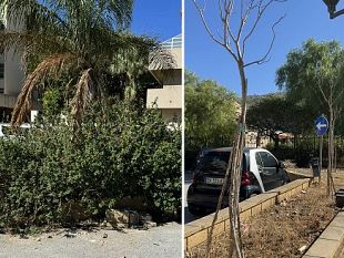 erice-degrado-nel-parcheggio-di-via-cosenza-tra-erbacce-alberi-morti-e-muretti-distrutti