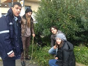 randagio-rischia-di-morire-avvelenato-salvato-soltanto-grazie-a-cittadini-volontari