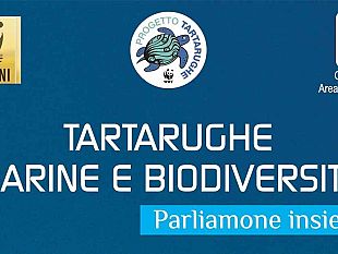 parliamone-insieme-incontro-tematico-sulle-tartarughe-marine-a-castelvetrano