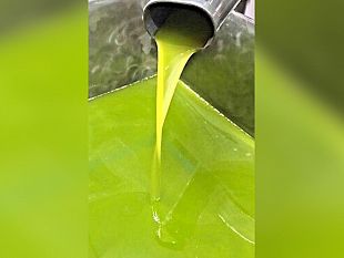 ultime-della-sera-un-po-folli-e-molto-coraggiosi