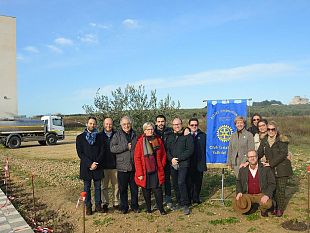 sessantadue-piantine-mirto-collocate-dai-soci-del-rotary-club-castelvetrano-valle-del-belice