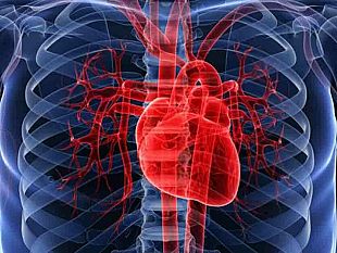 marsala-prosegue-l-azione-di-prevenzione-cardiovascolare-per-gli-studenti-delle-scuole-superiori