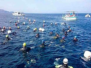 egadi-swim-race-da-10-giugno-la-traversata-che-unisce-l-isola-di-levanzo-a-quella-di-favignana