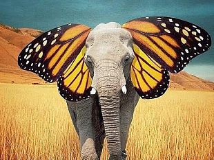 al-via-un-nuovo-progetto-di-primapagina-le-parole-per-dirlo-un-viaggio-dentro-il-dolore-cronico