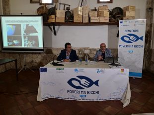 marsala/poveri-ma-ricchi-la-stagionalita-del-pesce-dimenticato