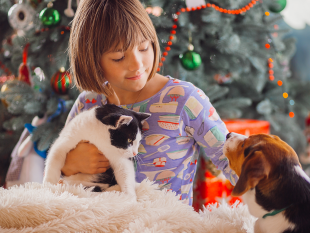 un-tenero-dono-di-natale