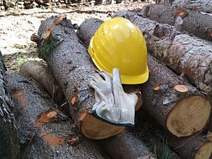 forestali-sicilia-vecchi-problemi-e-nuove-soluzioni