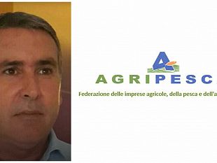 nicola-giacalone-agripesca-serve-rivoluzione-per-la-pesca-del-gambero-rosso