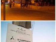 e-tornato-il-partito-della-fornacella-chi-lo-controlla