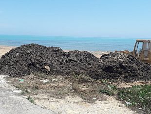 spostamento-alghe-a-triscina-interviene-perricone