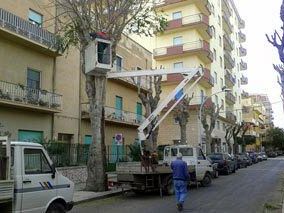 marsala-verde-pubblico-nuovi-interventi-in-via-sibilla