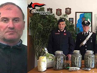 marsala-nascondeva-piante-di-marijuana-tra-i-pomodori-arrestato-dai-carabinieri