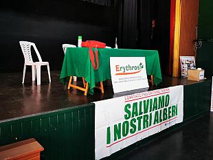 trapani-elena-lombardo-e-la-nuova-presidente-dellassociazione-erythros