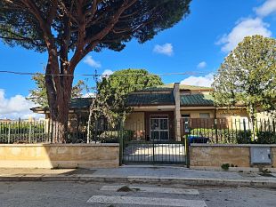 paceco-avviata-manutenzione-degli-alberi-nel-territorio-comunale