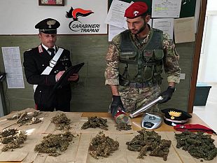 castelvetrano-partanna-e-gibellina-rinvenuti-piu-di-800g-di-mariujana-tre-arresti