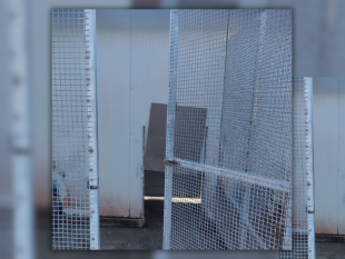 oipa-partanna-portare-un-cane-in-canile-non-e-salvarlo-e-condannarlo