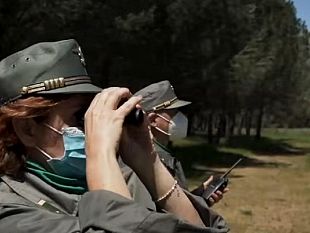 campagna-antincendio-cordaro-puntiamo-sugli-agenti-del-corpo-forestale