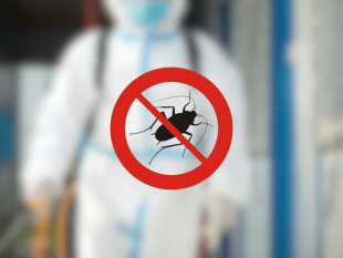 mazara-nelle-giornate-del-24-25-e-26-settembre-verranno-effettuati-interventi-di-derattizzazione