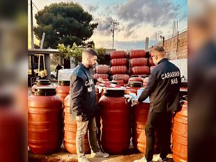 trapani/controlli-dei-nas-di-palermo-in-provincia-di-trapani-sequestrate-19-tonnellate-di-olive-in-salamoia