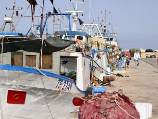 il-cda-del-gal-pesca-trapanese-approva-le-linee-di-indirizzo-della-strategia-territoriale-di-sviluppo
