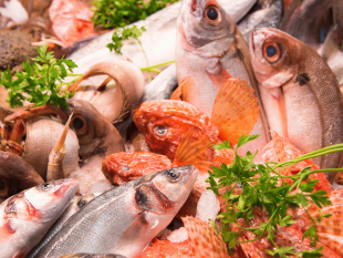 trapani-avviso-il-mercato-ittico-domenica-restera-chiuso