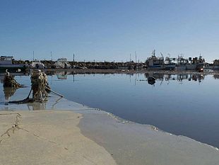 la-foto-della-settimana-di-floriana-daguanno