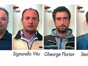 marsala-guerra-della-marijuana-i-carabinieri-arrestano-i-mazaresi-vito-e-giuseppe-signorello-e-due-rumeni-rumeno-ucciso-e-cadavere-carbonizzato-scoperte-9000-piantine-di-canapa