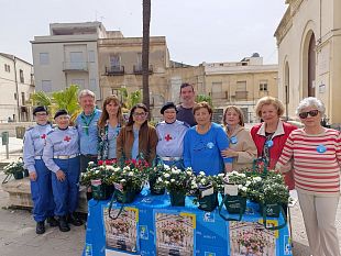 a-castelvetrano-le-azalee-della-ricerca-il-valore-di-un-piccolo-grande-gesto
