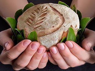 game-over-rete-dei-musei-ed-educazione-alla-salute-domenica-19-maggio-incontro-ad-alcamo