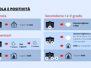 scuola-e-covid-e-la-giungla-delle-regole-con-la-spada-di-damocle-della-dad