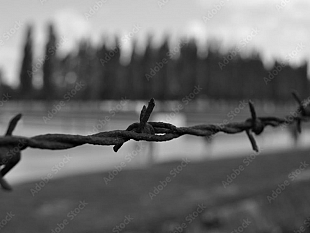 meditate-che-questo-e-stato