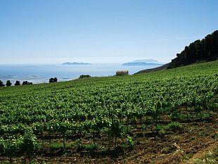 borgo-divino-in-tour-ad-erice-nel-mese-di-ottobre-la-tappa-del-2024