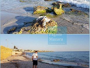 mazara-ritrovamento-interiora-in-mare-a-pochi-metri-dalla-spiaggia-sono-resti-umani-o-animali