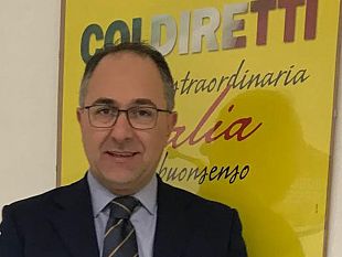 sport-alimentazione-la-pallacanestro-trapani
