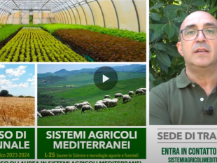 trapani/climate-change-e-agricoltura-mediterranea-a-trapani-un-corso-di-laurea-unipa-innovativo